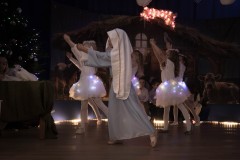 DSC04391