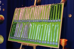 001-IMG_7763