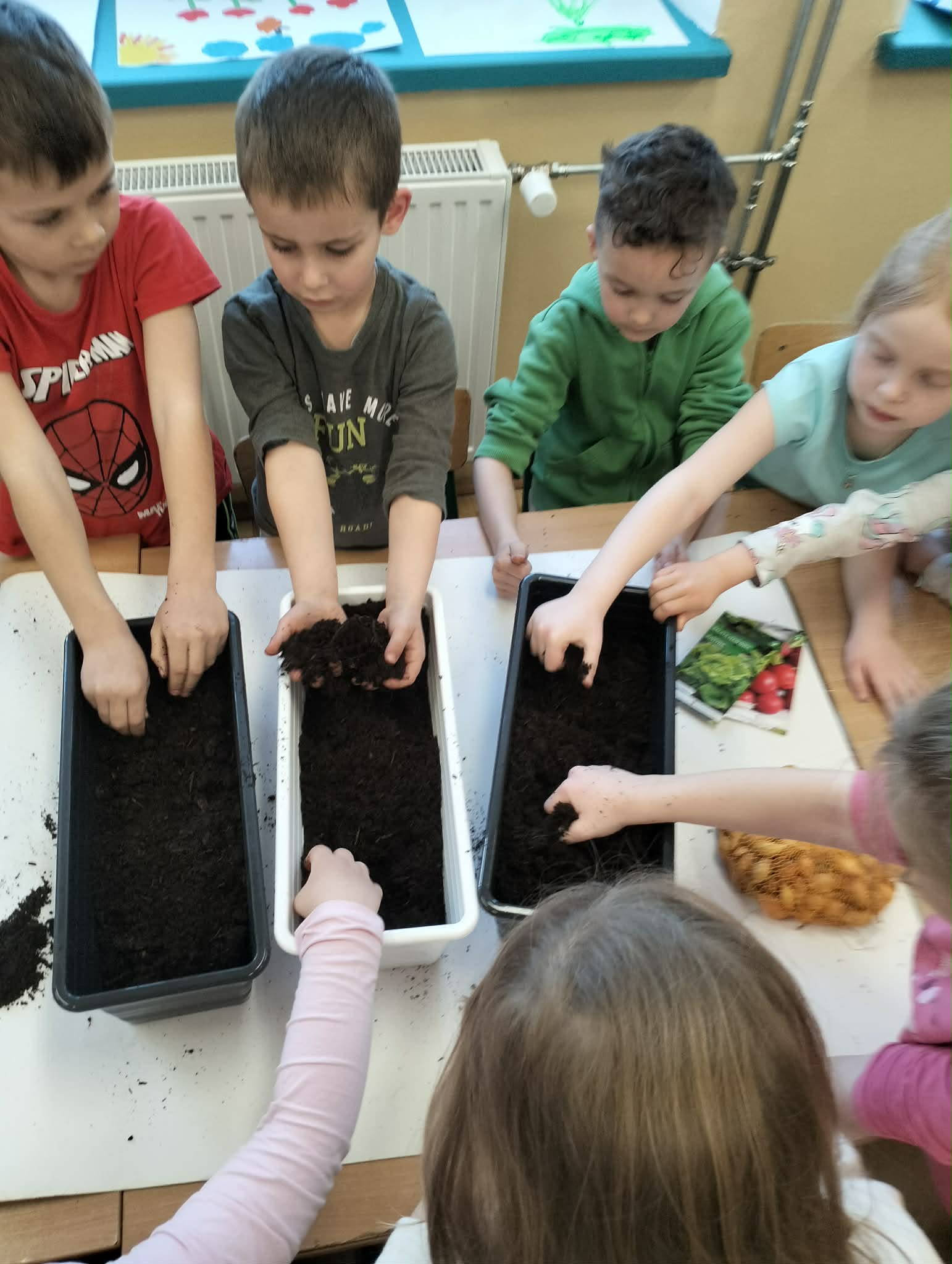 Wiosenne sadzenie nowalijek